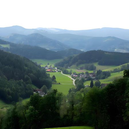 Ruhige Schwarzwald Ferienwohnung Buchenbach  외부 사진