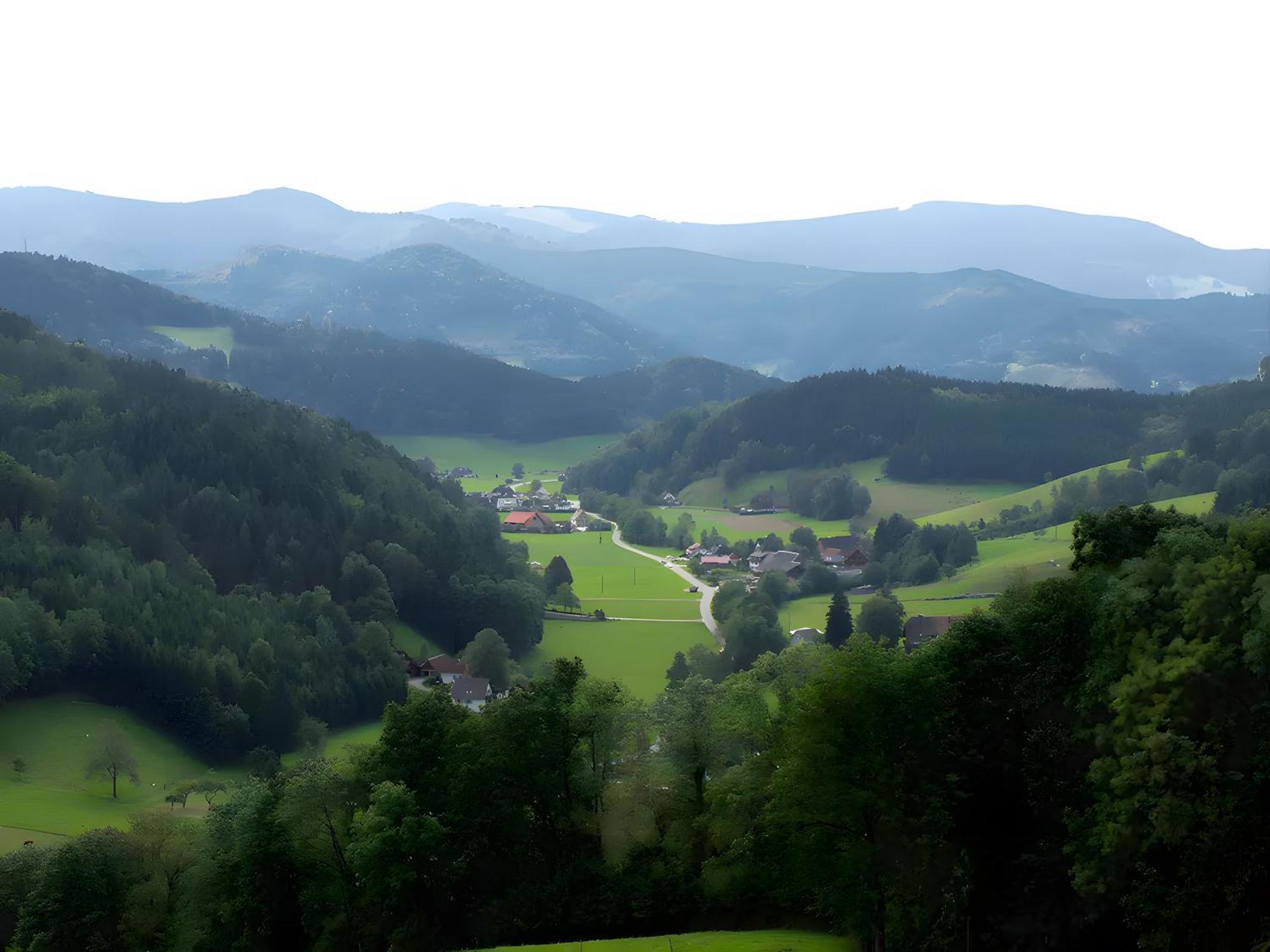 Ruhige Schwarzwald Ferienwohnung Buchenbach  외부 사진